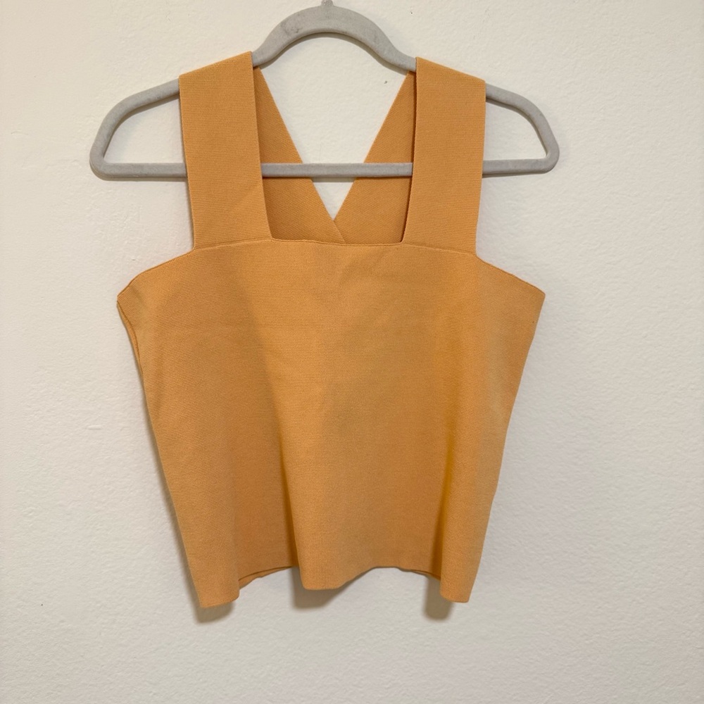 House of Harlow 1960 Tan Crop Top